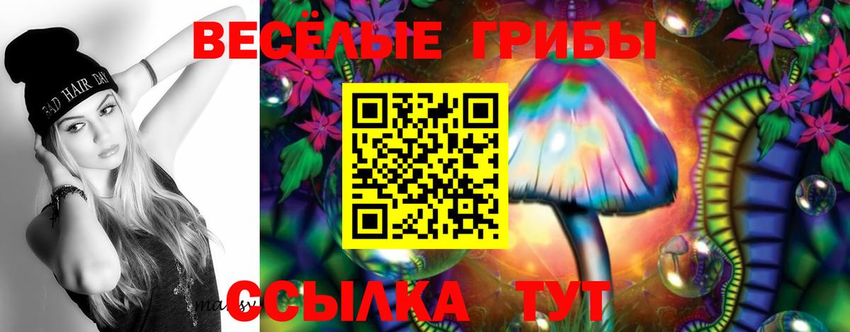 Галлюциногенные грибы MAGIC MUSHROOMS Зима